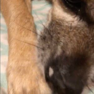 Meet your Posher, Melissa ð